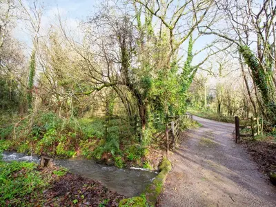 a dirt road through a forest with a fence at Bulls Cottage in Bodmin