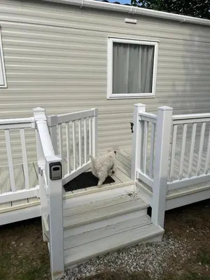 a sheep standing on the stairs of a house at CaravanSleeps4-Beachfront-Garden-Patio in Newquay