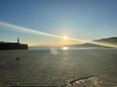 a dog walking on a beach with the sun setting at Sea Breeze - 3 Bed House, Parking for 2 Cars in St Ives