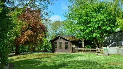 a smallshed in the middle of a yard with trees at 45 Trevithick Court, Tolroy Manor in Hayle
