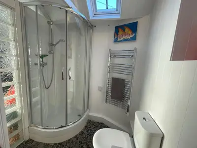 a white bathroom with a shower and a toilet at Cilia Marys Annexe St Teath in Saint Teath