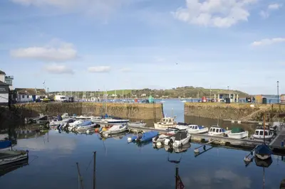 a bunch of boats are docked in a harbor at Oceans Eleven - Sea view - Secure parking - Footsteps from beach in Falmouth