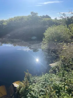 a body of water with the sun reflecting in it at Tresahor Studio with sauna in Falmouth