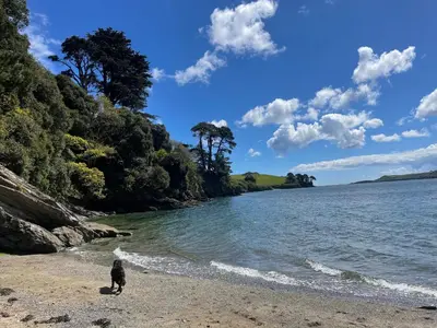 a dog standing on a beach near the water at Tresahor Studio with sauna in Falmouth