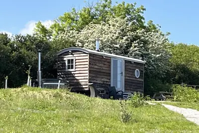 a wooden cabin sitting in a field of grass at The Daffodil Hut in Porkellis