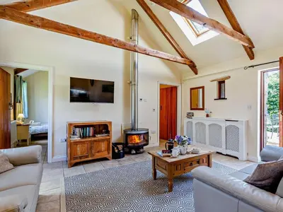 a living room with a couch and a fireplace at 2 Bed in Callington oc-tyler in North Hill