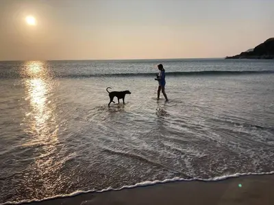 a woman walking a dog on the beach at Praa Sands - Apartment - Sleeps 2 - Parking in Praa Sands