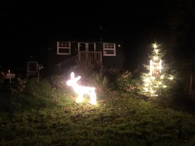 a christmas yard with two christmas trees and a deer at 1 Bedroom Cabin Sleeps 2 Private Garden WiFi in Camelford