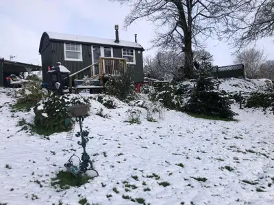 a house in a yard covered in snow at 1 Bedroom Cabin Sleeps 2 Private Garden WiFi in Camelford