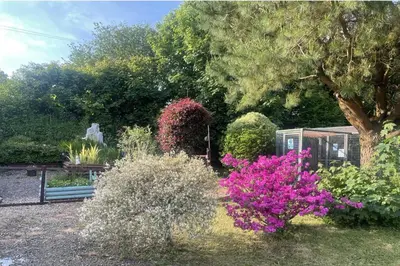 a garden with pink flowers and a tree at 1 Bedroom Cabin Sleeps 2 Private Garden WiFi in Camelford