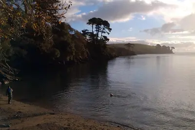a person walking on the shore of a body of water at Fig Tree House in Penryn