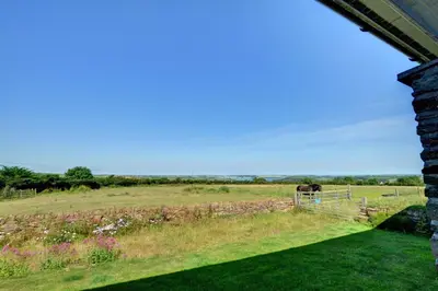 a horse standing in a field with a fence at 2 Bed in Wadebridge oc-p00374 in Wadebridge