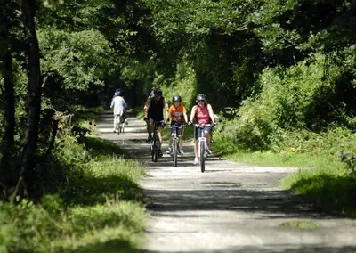 a group of people riding bikes down a trail at 2 Bed in Wadebridge oc-p00374 in Wadebridge