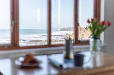 a view of the ocean from a window with flowers at Sunset View in Bude
