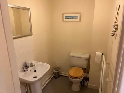 a small bathroom with a toilet and a sink at Creek Cottage in Budock Water