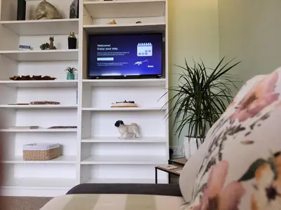 a tv in a white book shelf with a cat on it at Top Location Perranporth Apartment in Perranporth