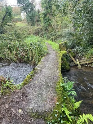 a dirt path next to a river with trees at Holywell View 30 in Cubert