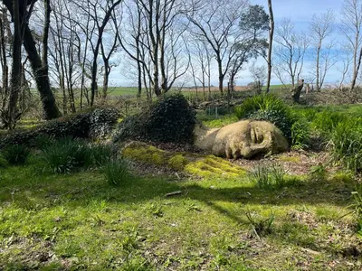 a dead animal laying on the ground in the grass at Holywell View 30 in Cubert