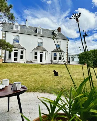 a black cat sitting in front of a large house at St George's Hotel in Perranporth