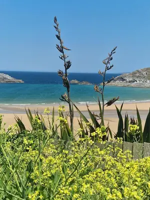 a view of a beach with yellow flowers at Perranporth HOT TUB 3 Bed Dog friendly Home in Newquay