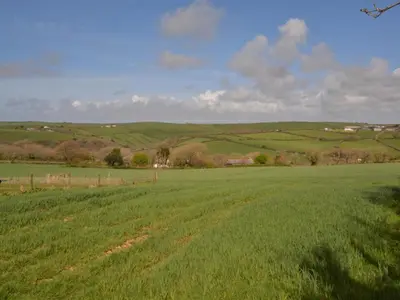 a green field with a fence in the distance at 3 Bed in Bude oc-09117 in Saint Gennys