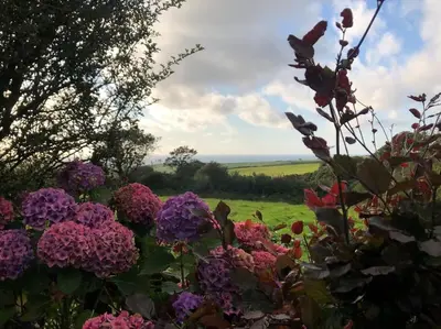 a bunch of purple flowers in a field at Beautiful family home, sea views, large garden in Port Isaac
