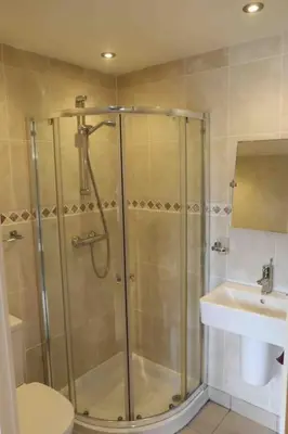 a bathroom with a shower and a toilet and a sink at Cosy thatched Cottage sleeps 6 near Portscatho! in Porthscatho