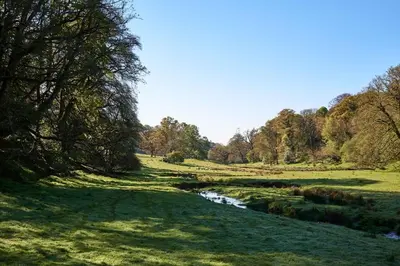 a river in a field with trees in the background at Lostwithiel Stable House in Braddock
