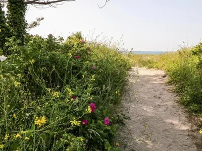 a dirt trail with flowers on the side of a field at Delightful two bedroom caravan on Par Beach. in Par