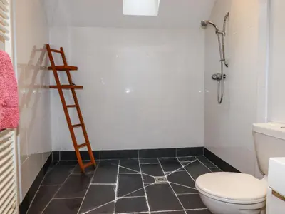 a bathroom with a ladder next to a toilet at Lanvean Farmhouse in Newquay