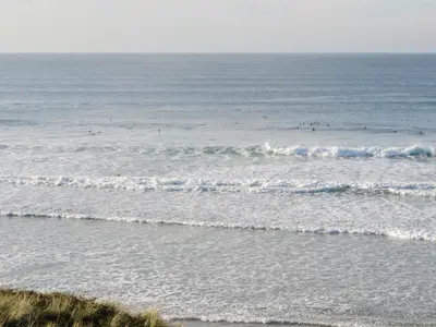 a group of birds in the water at the beach at Country View in Saint Erth