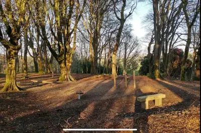 a bench sitting in the middle of a park with trees at Woodland bungalow, fantastic location in Uny Lelant