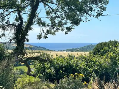 a view of a field and the ocean from a tree at Jam First - Lydcott Glamping, Cornish Sea Views in East Looe