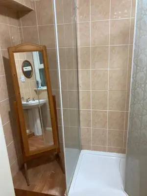 a shower with a mirror and a sink at Little Haven in Launceston