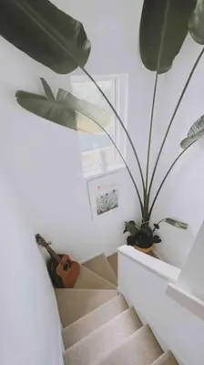 a staircase with a plant and a guitar in a room at Family Home with Sauna & Garden in Newquay