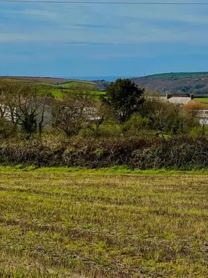 a field of grass with trees in the background at Citrus Chalet, modern light and airy! in Redruth