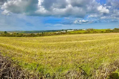 a large field of grass with at Citrus Chalet, modern light and airy! in Redruth