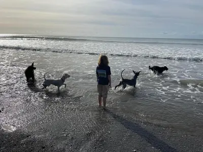 a girl standing on the beach with a group of dogs at Clotted Cream -Lydcott Glamping, Cornish Sea Views in Looe