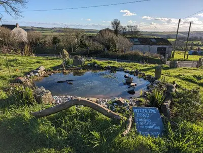 a small pond in the middle of a field at Clotted Cream -Lydcott Glamping, Cornish Sea Views in Looe