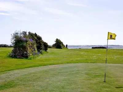 a golf hole with a flag in the grass at Chalet Lodge 3 by Interhome in Helston