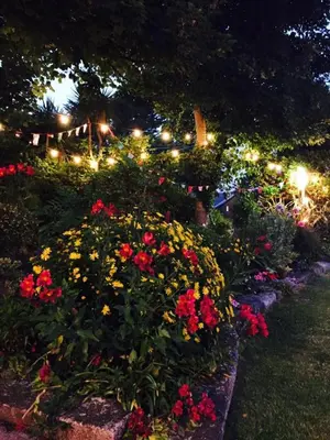 a garden with flowers and lights at night at The Badger Inn in Carbis Bay