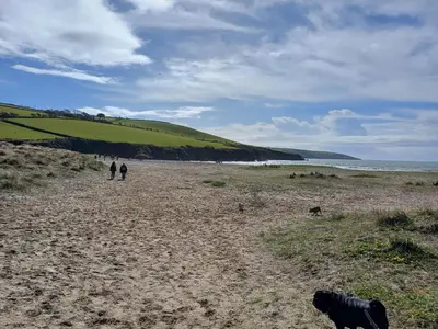 two people and a dog walking on a beach at The Conifers 3 Room Small but Stylish Self Catering Bedsit Flat in Nature Reserve Free Eden taxi b4 9pm no lounge in Par