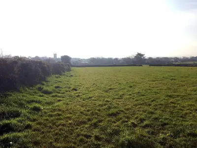a large field with green grass in a field at Trevena Cross Glamping & Camping in Helston