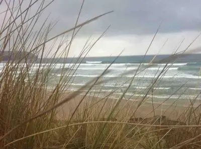 a view of the beach through some tall grass at Wonderful Beach House Just 250m From The Sea in Newquay