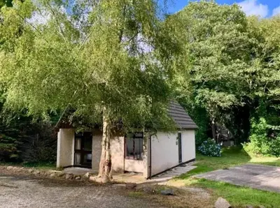 a small house with a tree in front of it at St Ives Bluebell Cottage in St Ives