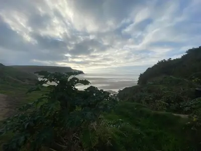 a view of the ocean from a hill with a tree at Cosy Cornish cottage with rural views in Newquay