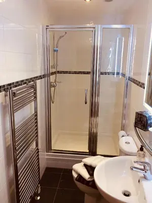 a bathroom with a shower and a sink and a toilet at Number Six in St. Agnes