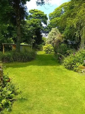 a garden with a lawn with trees and plants at The Barn in Penzance