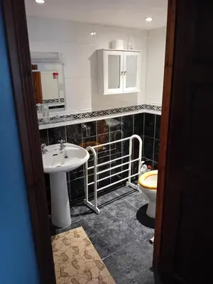 a bathroom with a sink and a toilet at Robins Nest in Liskeard