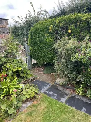 a garden with some bushes and a walk way at The Hayloft - New Dog friendly with garden and parking in Port Isaac